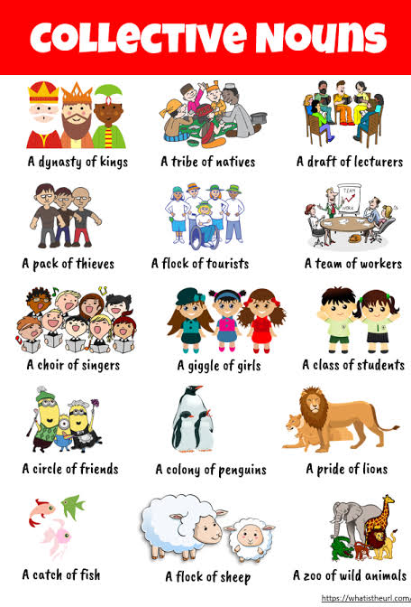 Collective Nouns: Meaning, List & Examples